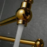 Shiny Gold Antique Pot Filler #202423